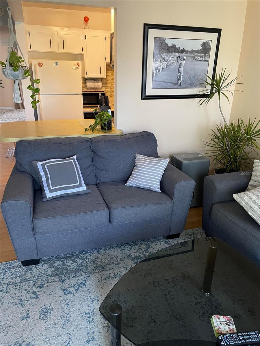 239 S MCMULLEN BOOTH RD #38