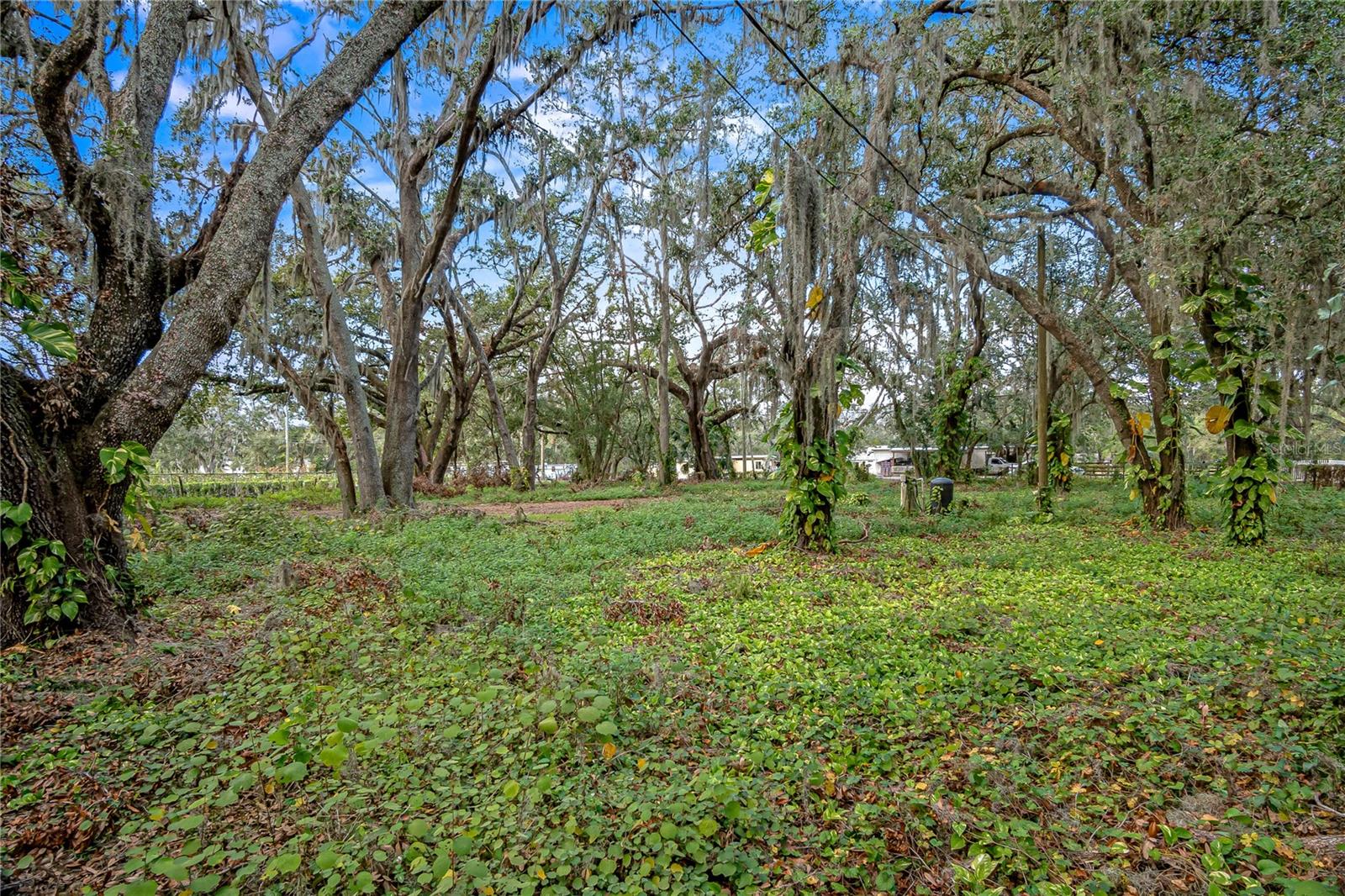 6615 THONOTOSASSA RD