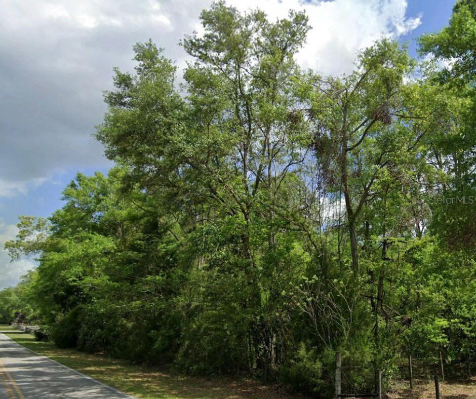 SW WILSON SPRINGS DR
