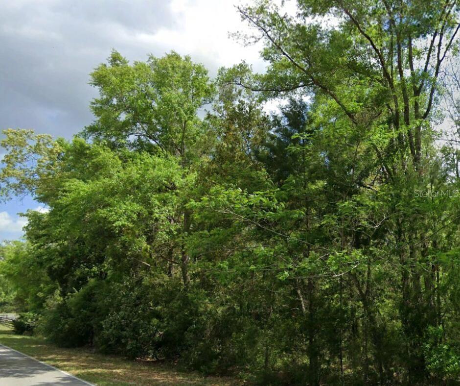 SW WILSON SPRINGS DR