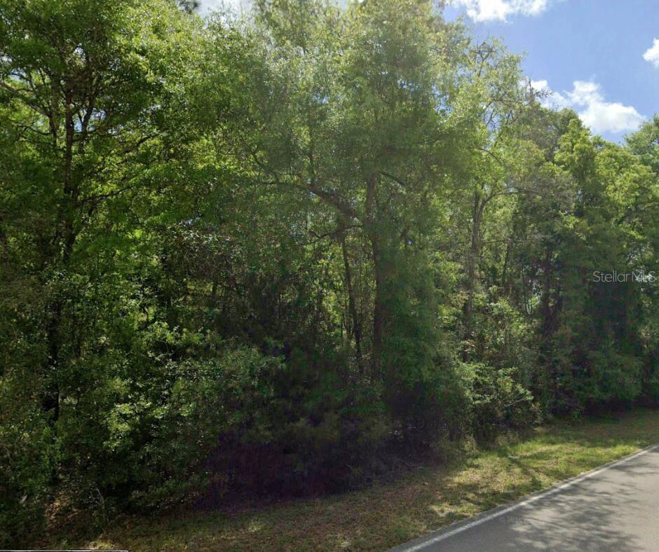 SW WILSON SPRINGS DR