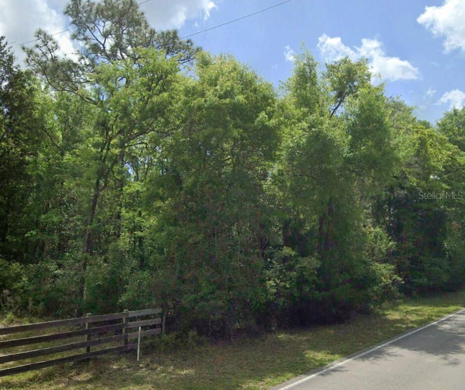 SW WILSON SPRINGS DR