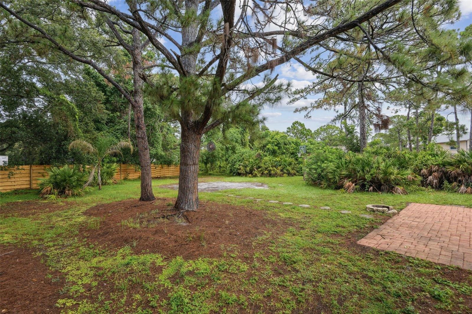 1849 WOOD HOLLOW CT