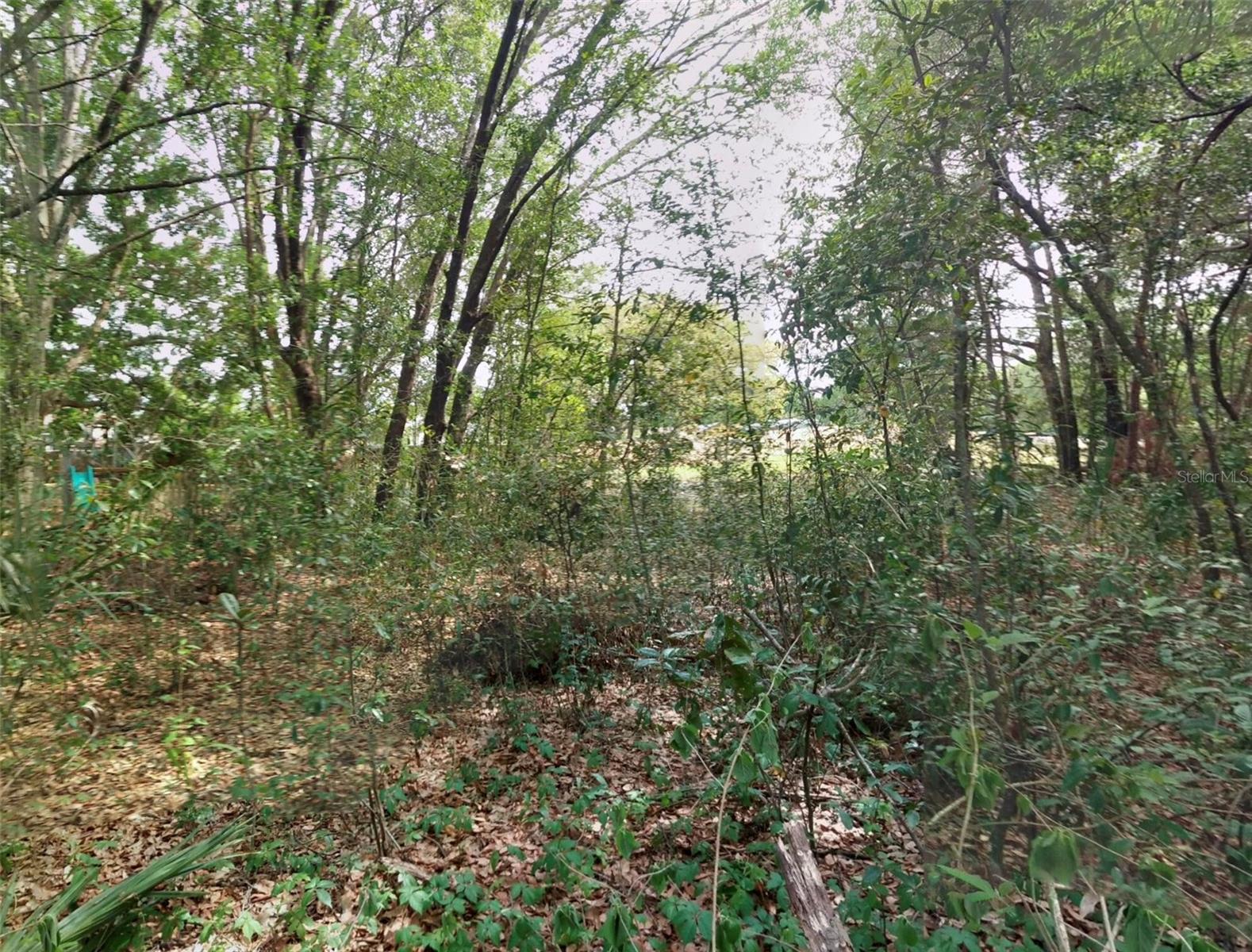 1766 MARKHAM GLEN CIR