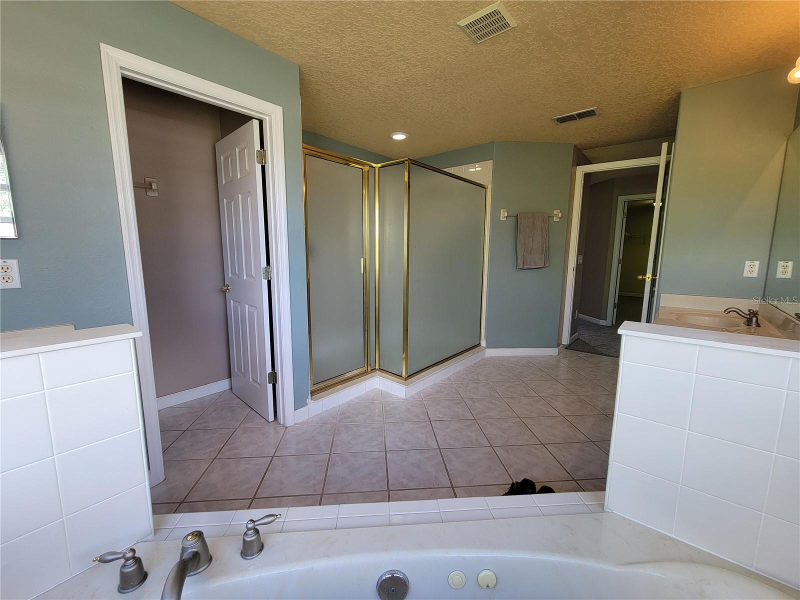 3145 TWISTED OAK LOOP