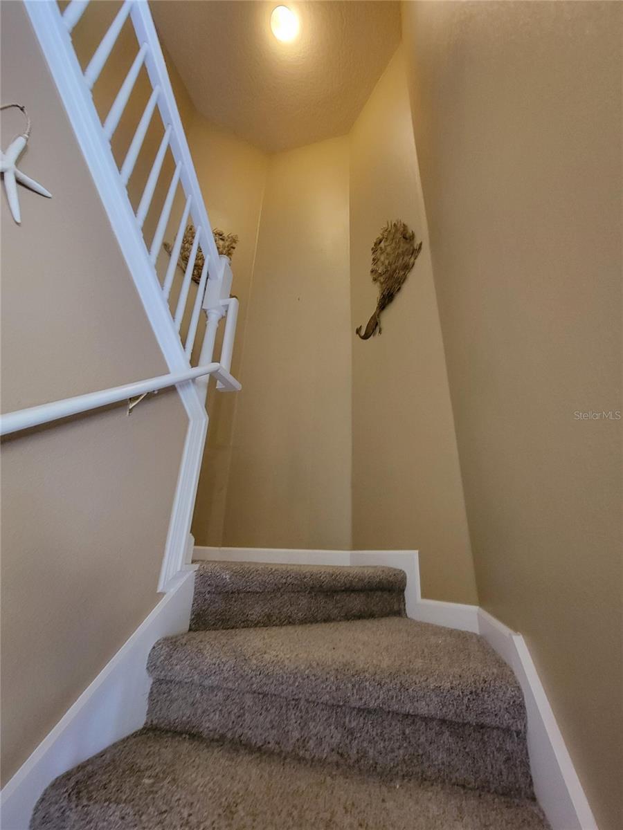 3145 TWISTED OAK LOOP