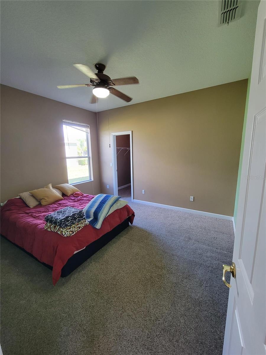 3145 TWISTED OAK LOOP