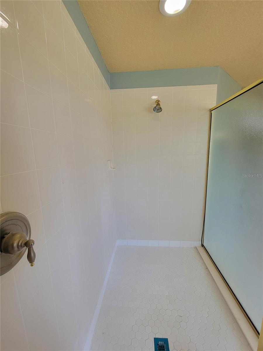 3145 TWISTED OAK LOOP