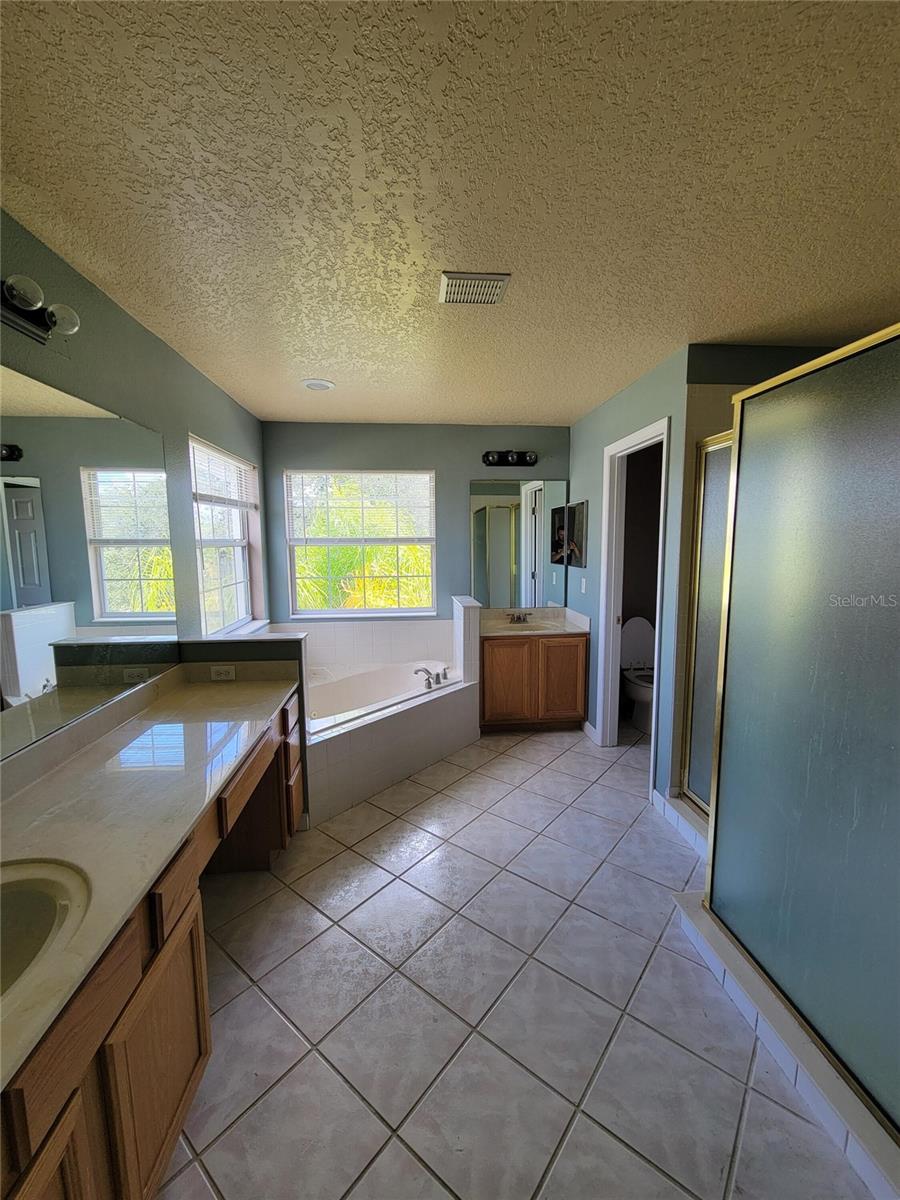 3145 TWISTED OAK LOOP