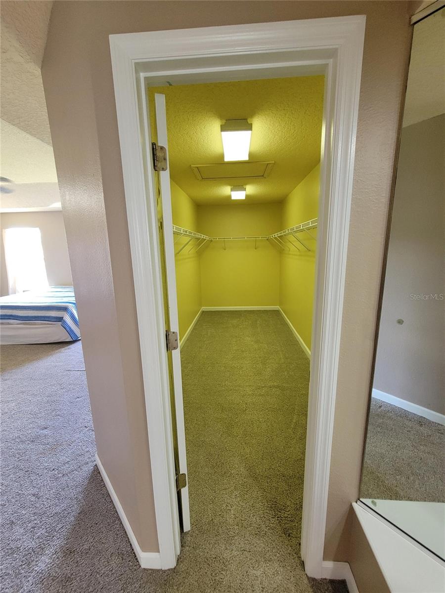 3145 TWISTED OAK LOOP