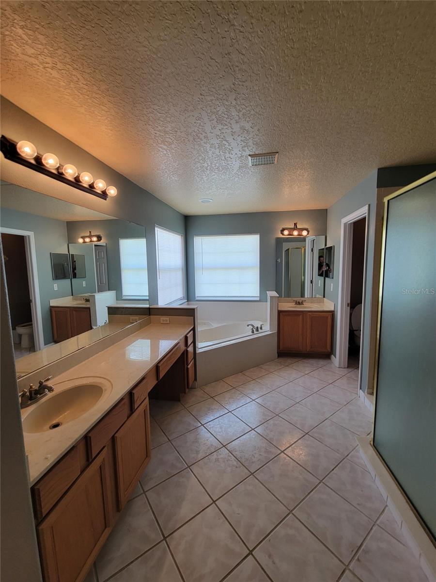 3145 TWISTED OAK LOOP
