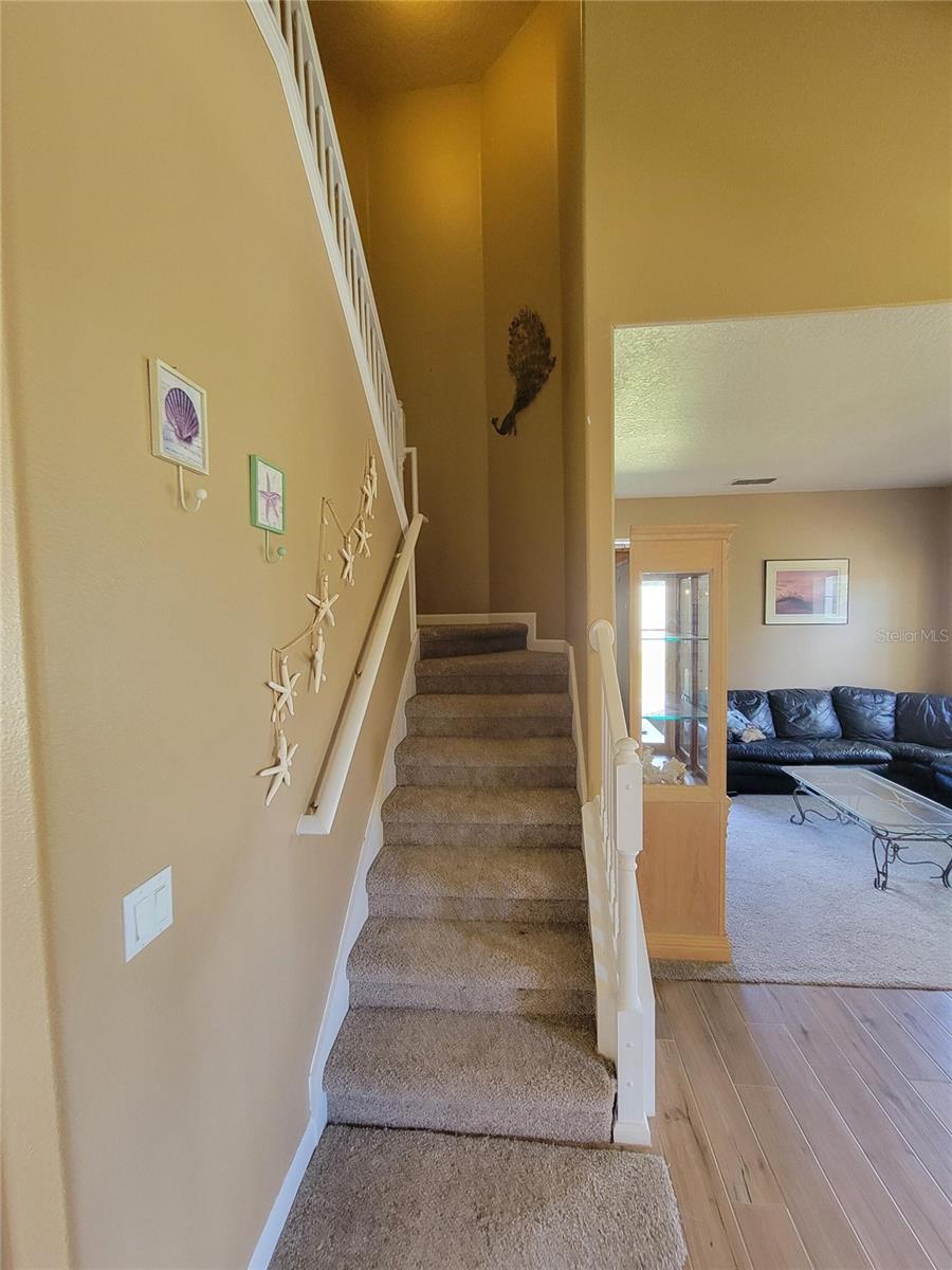 3145 TWISTED OAK LOOP