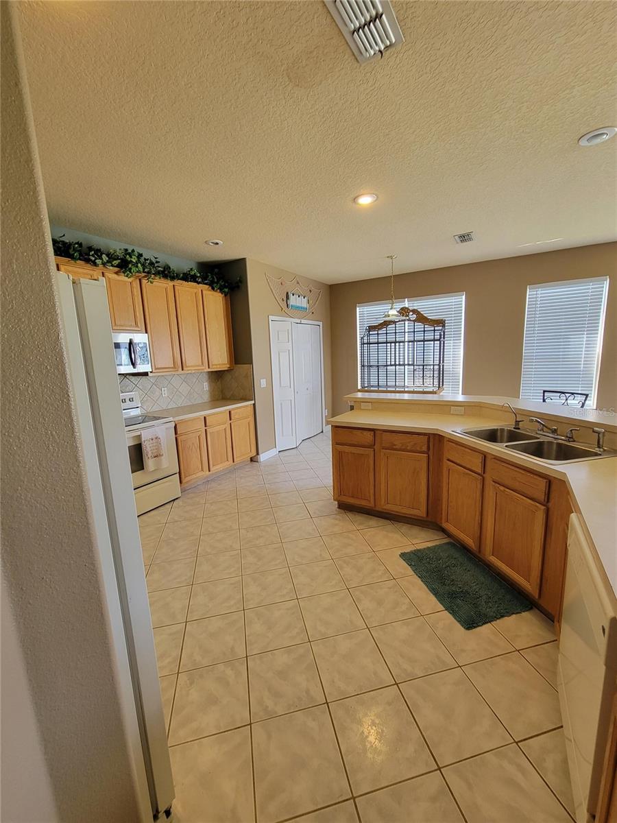 3145 TWISTED OAK LOOP