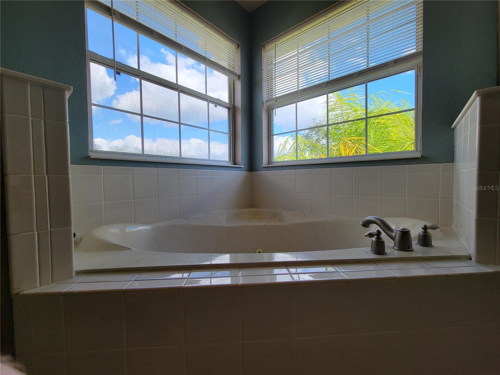 3145 TWISTED OAK LOOP