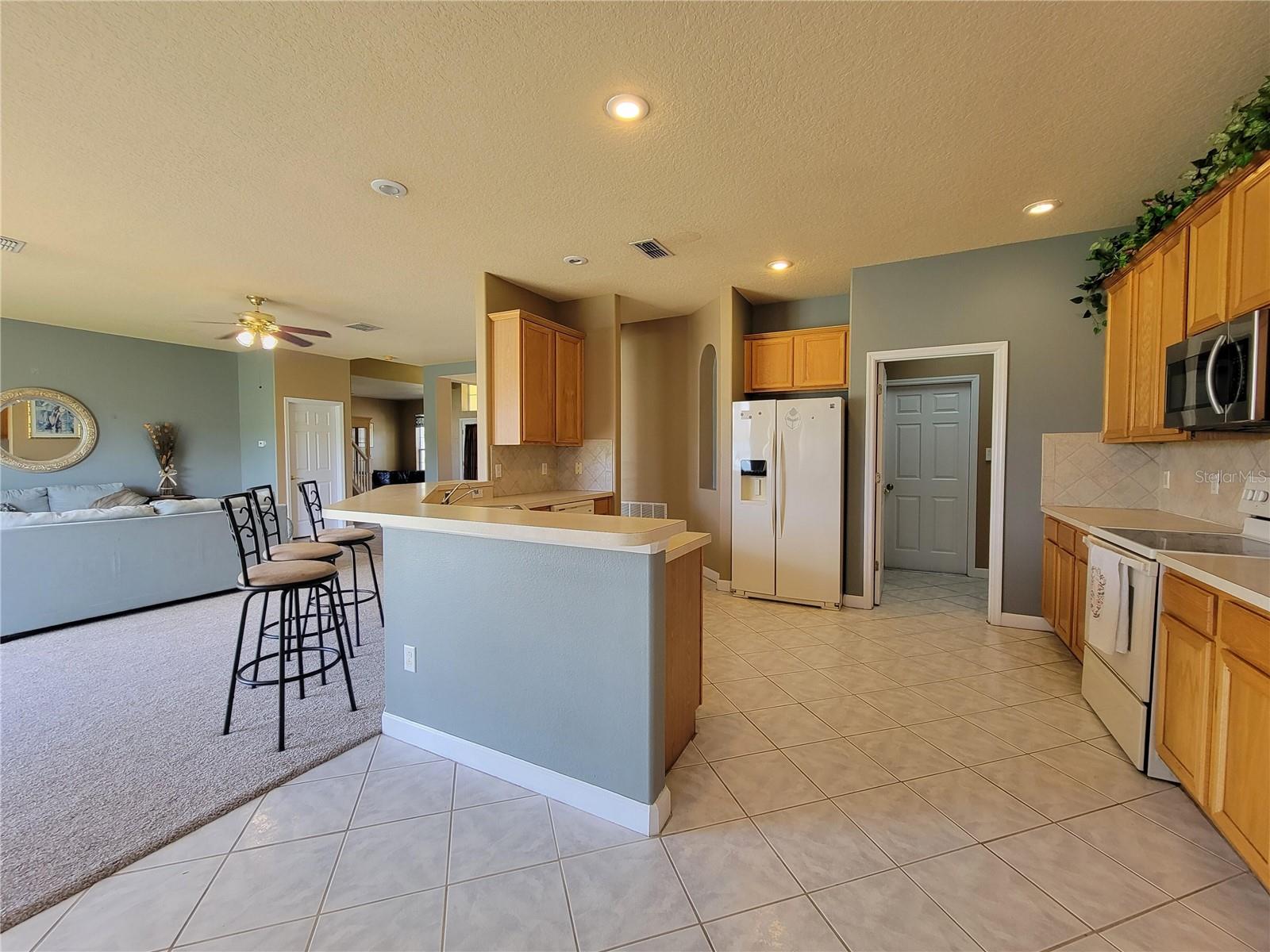 3145 TWISTED OAK LOOP