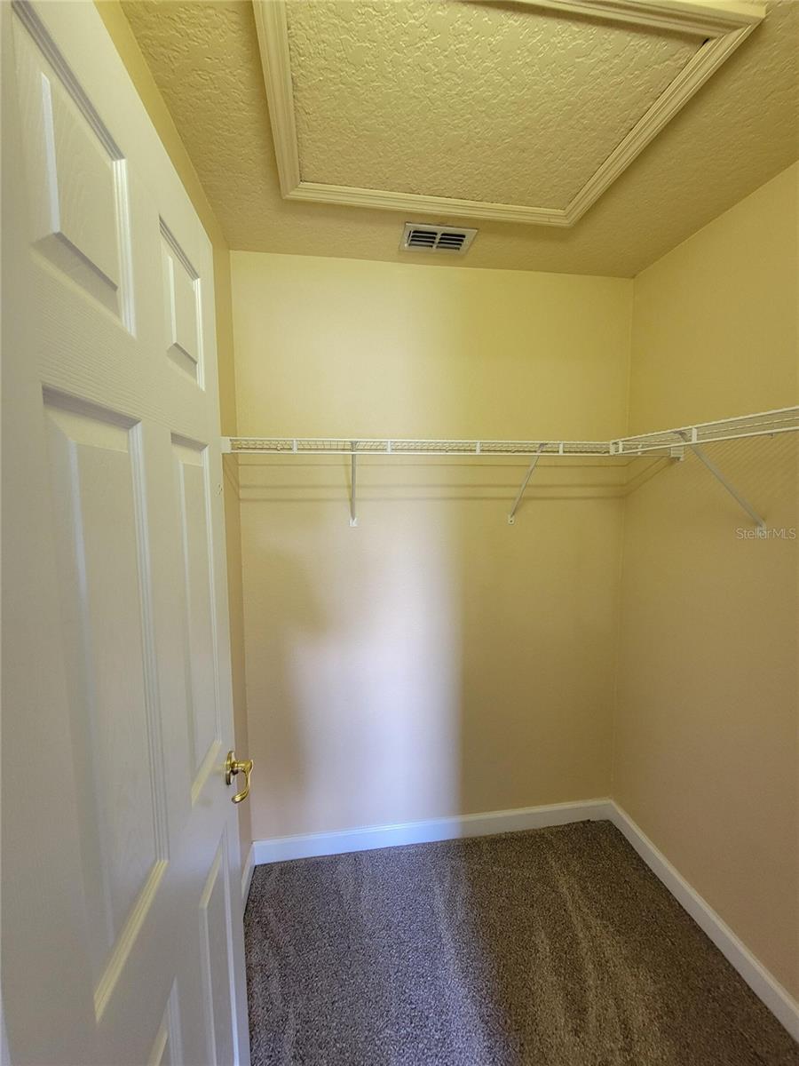 3145 TWISTED OAK LOOP