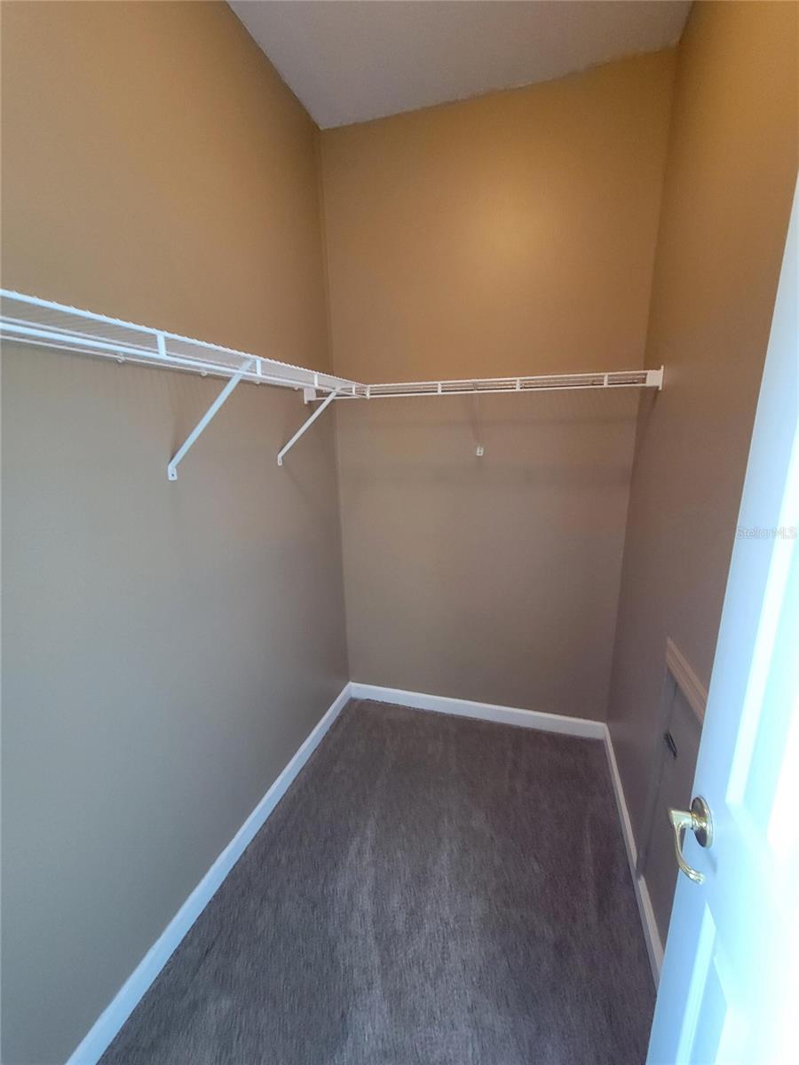 3145 TWISTED OAK LOOP