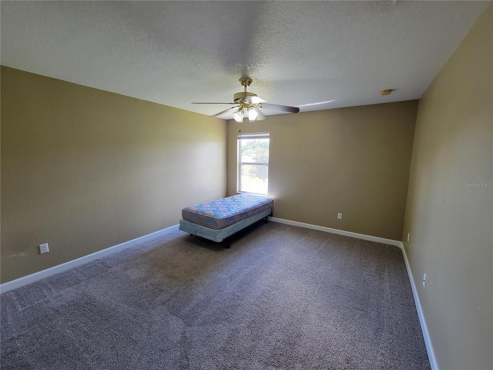 3145 TWISTED OAK LOOP