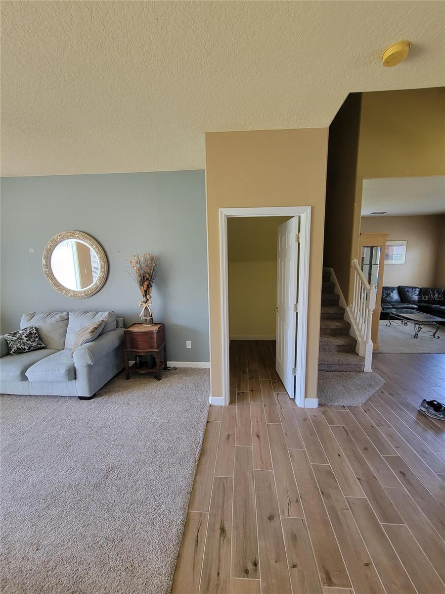 3145 TWISTED OAK LOOP