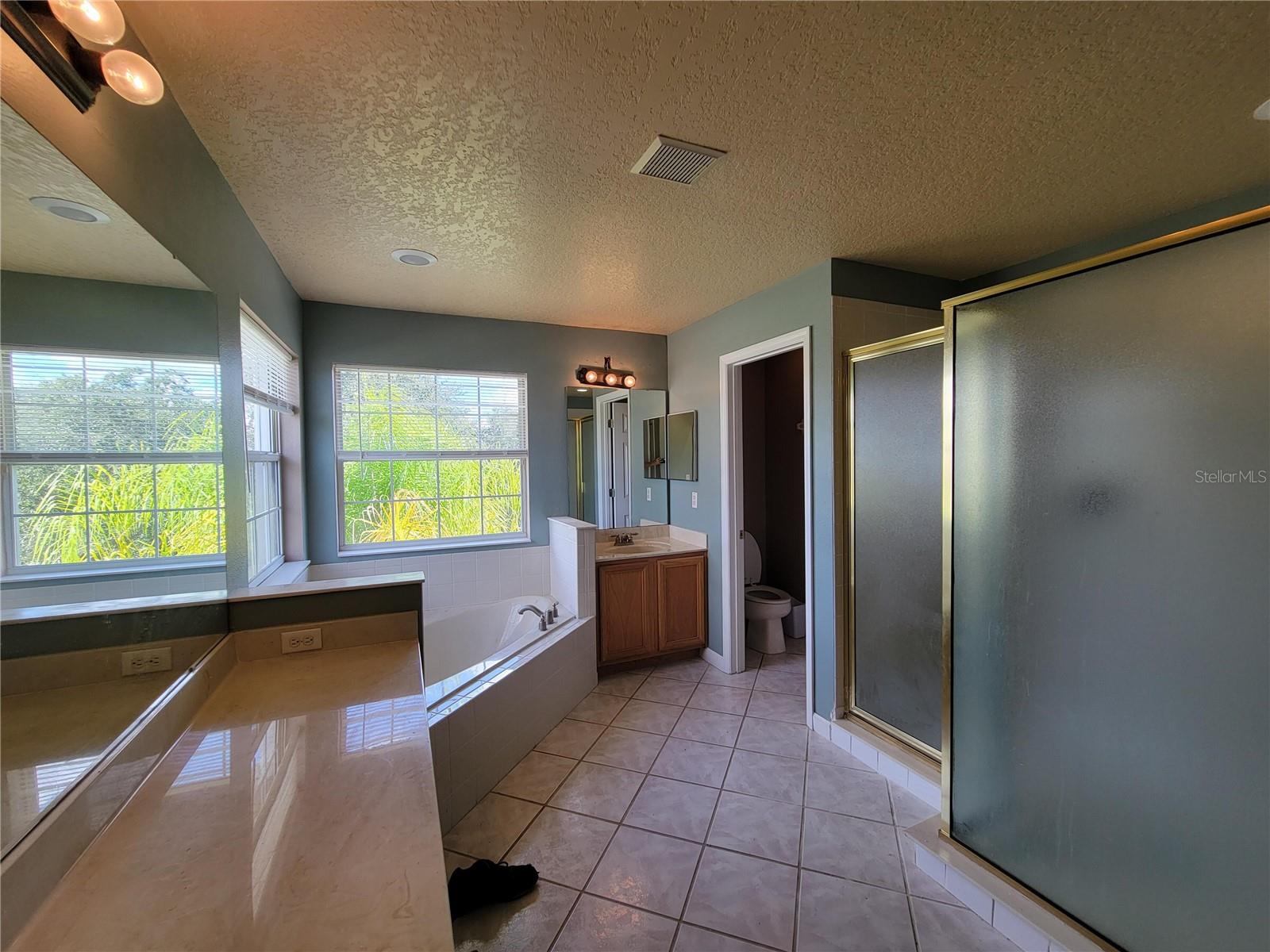 3145 TWISTED OAK LOOP