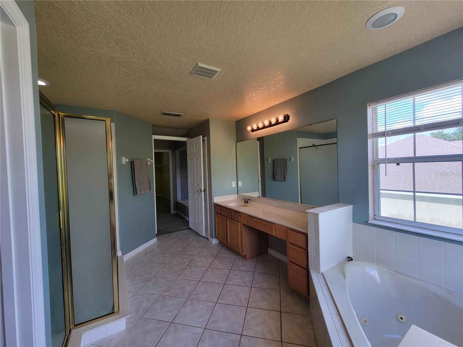 3145 TWISTED OAK LOOP