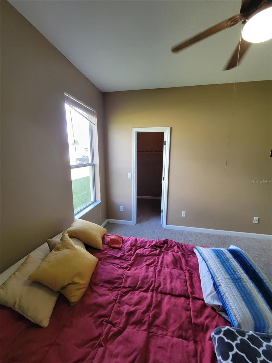 3145 TWISTED OAK LOOP