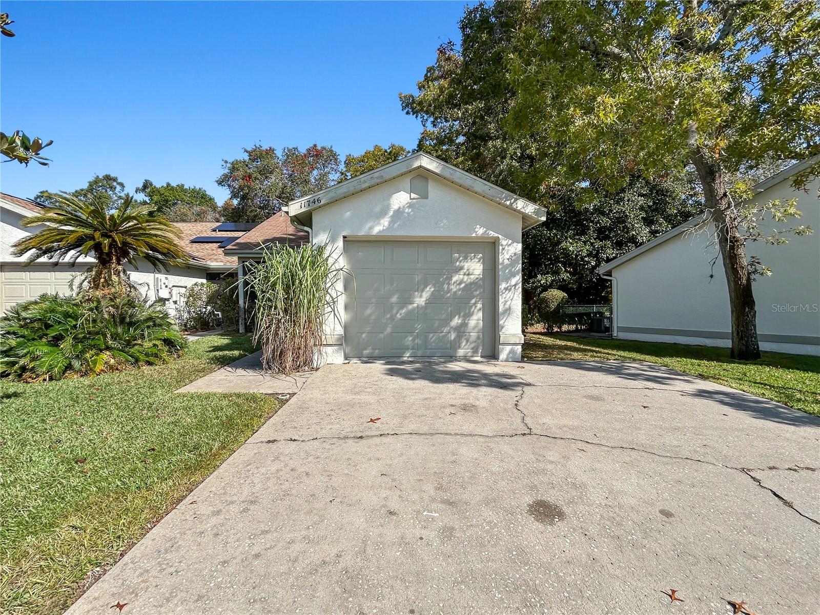 11746 SPRING TREE LN