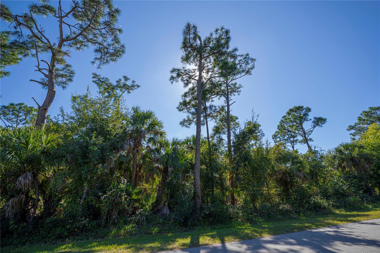 26177 BROOKS RD