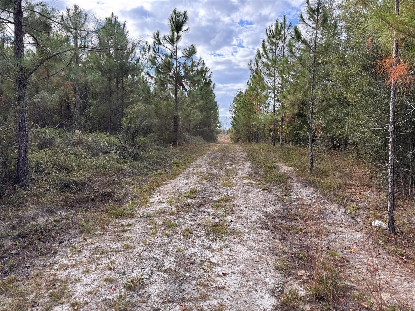 SW COUNTY ROAD 778
