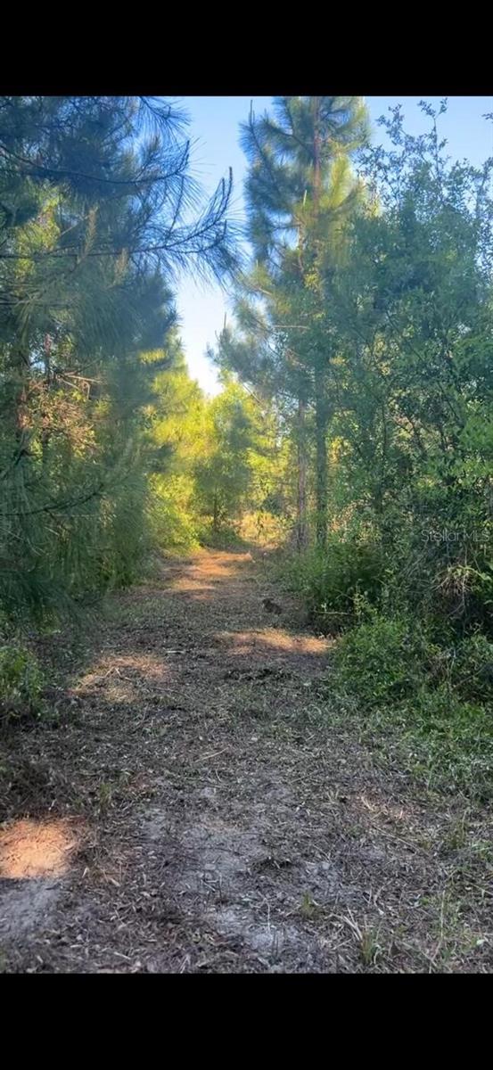 SW COUNTY ROAD 778