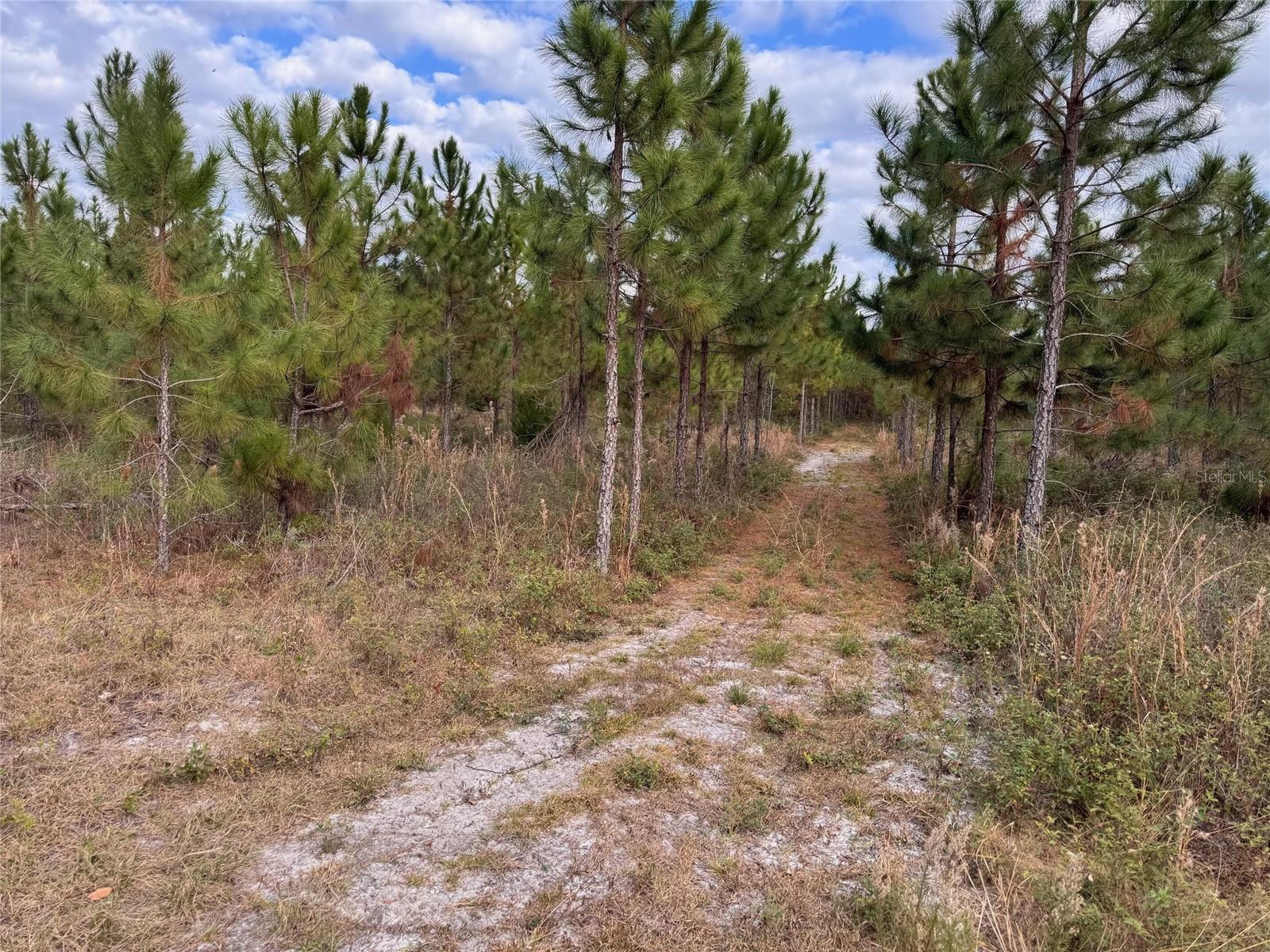 SW COUNTY ROAD 778