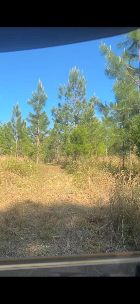 SW COUNTY ROAD 778