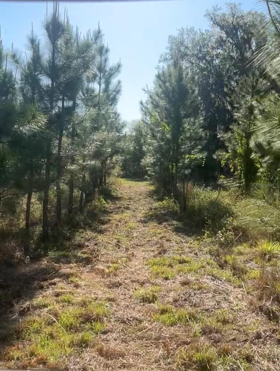 SW COUNTY ROAD 778