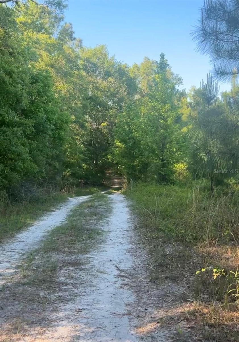 SW COUNTY ROAD 778