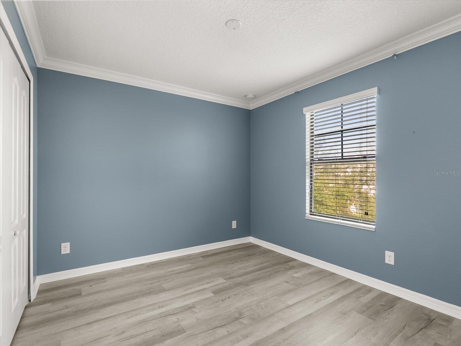 351 CHICKASAW BERRY RD
