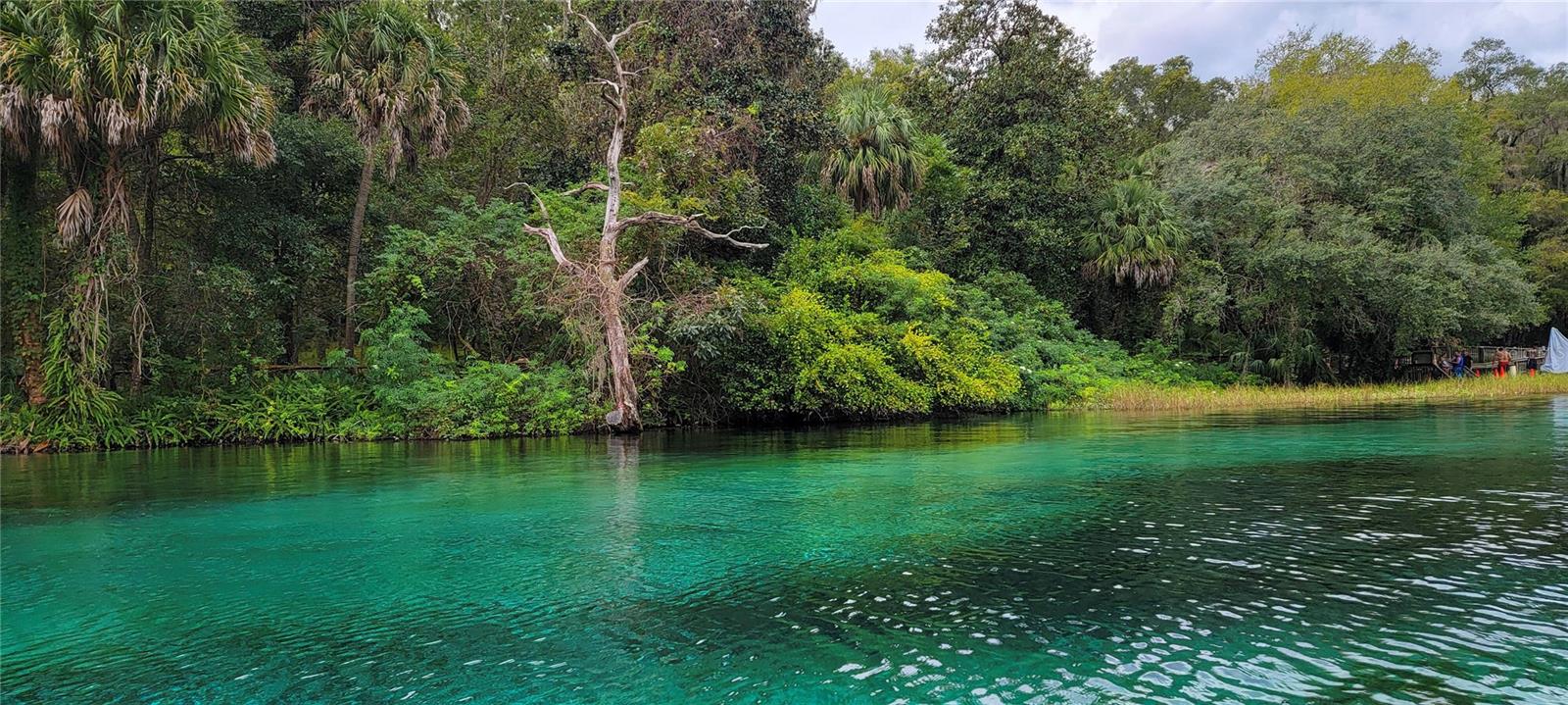 19416 SW 98TH PLACE RD