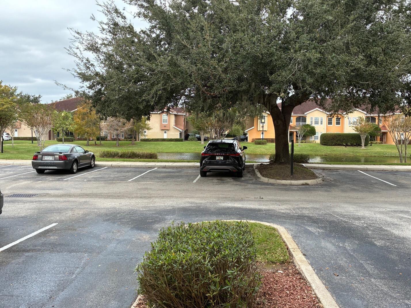 12307 LANTANA PARK LN #102