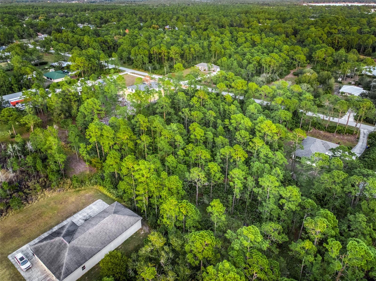 5817 WOLF LAKE RD