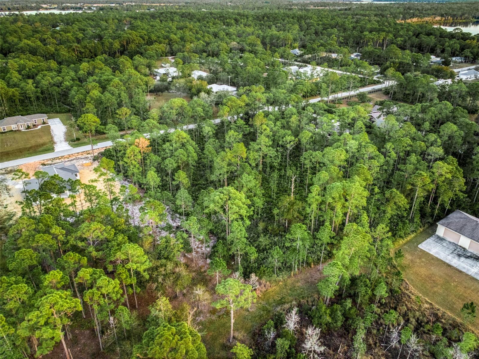 5817 WOLF LAKE RD
