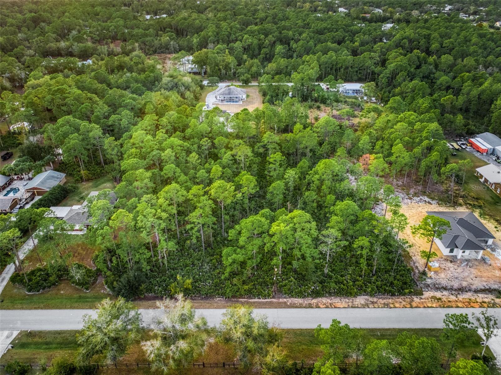 5817 WOLF LAKE RD