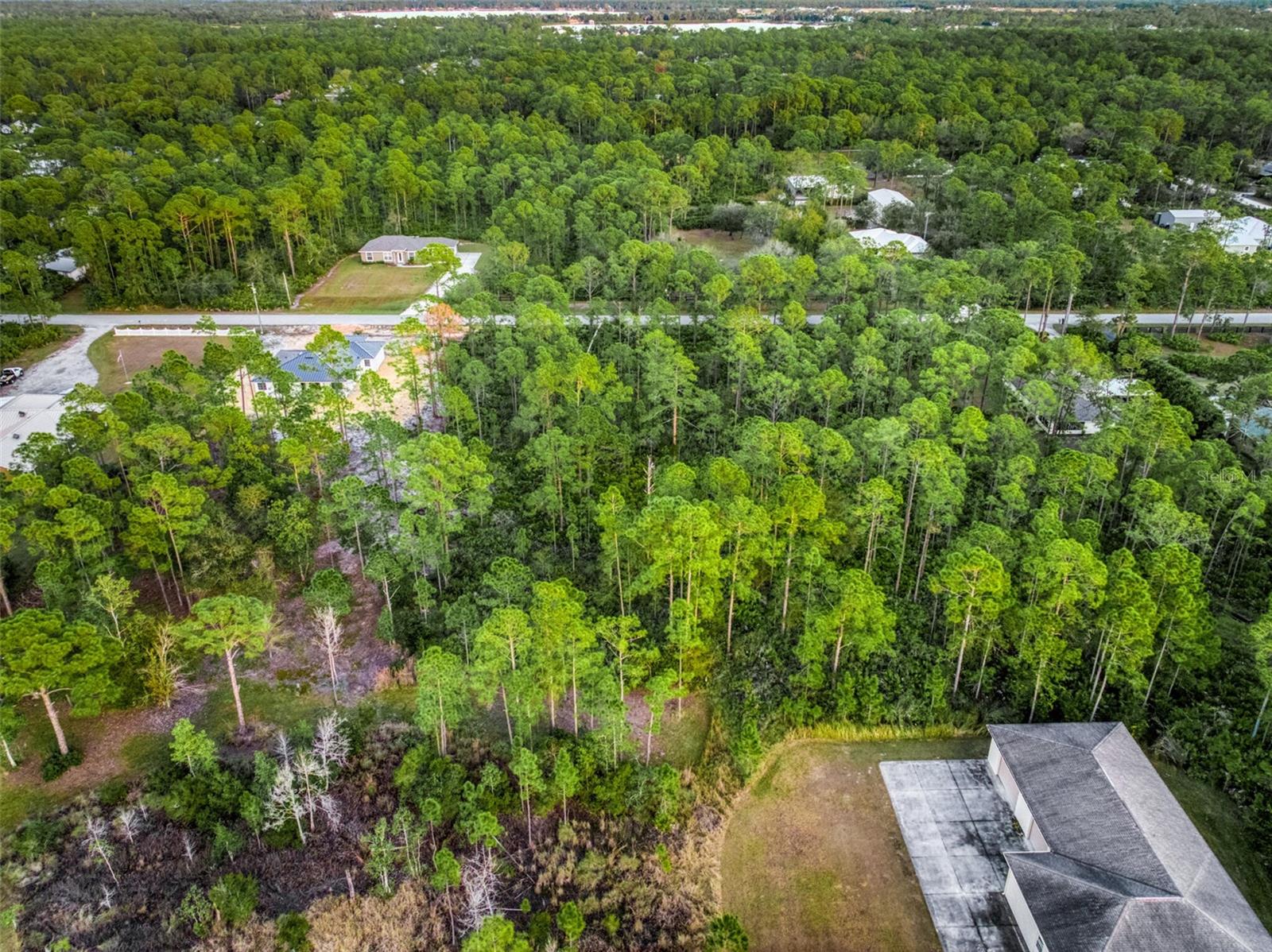 5817 WOLF LAKE RD