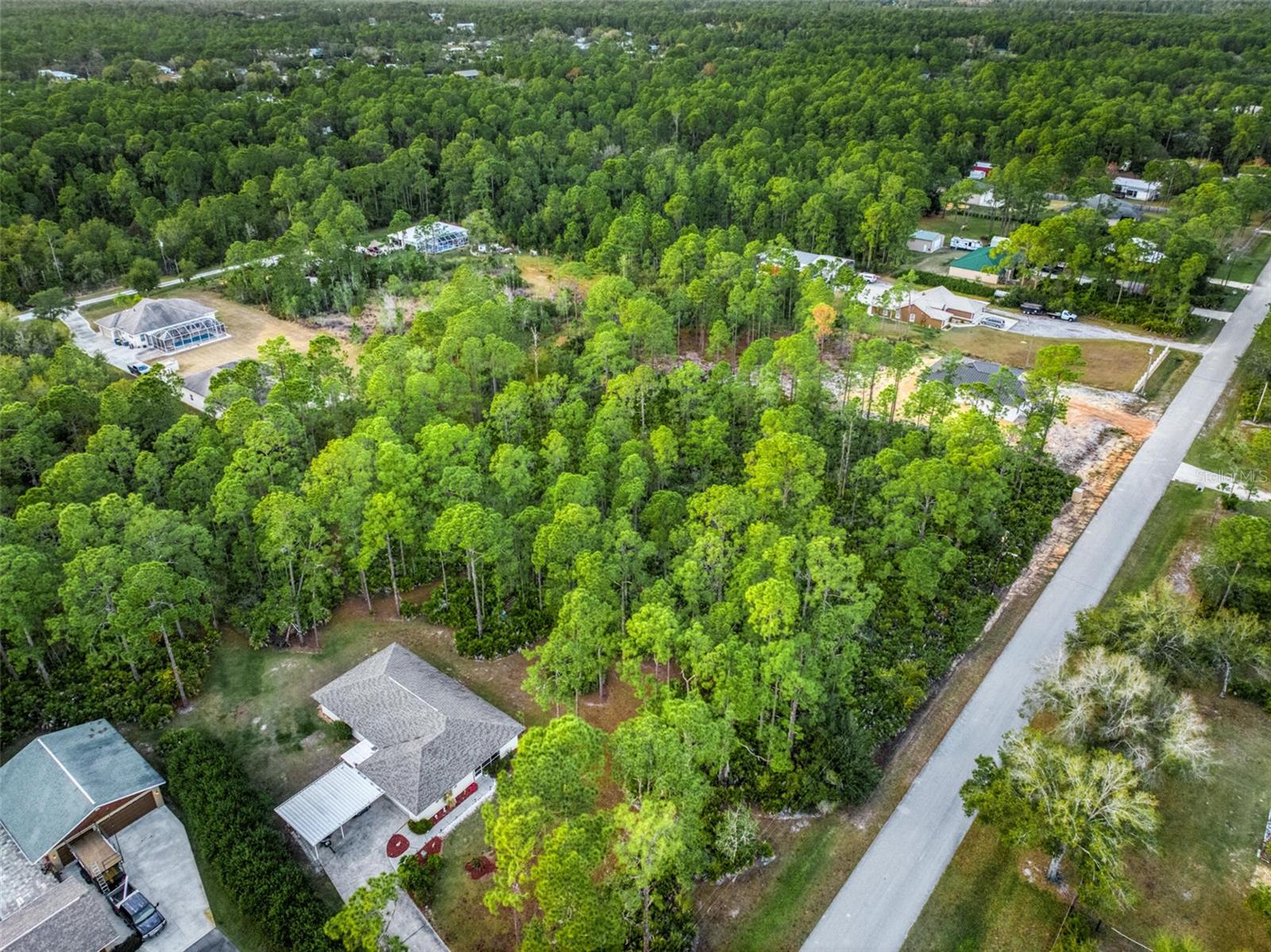 5817 WOLF LAKE RD