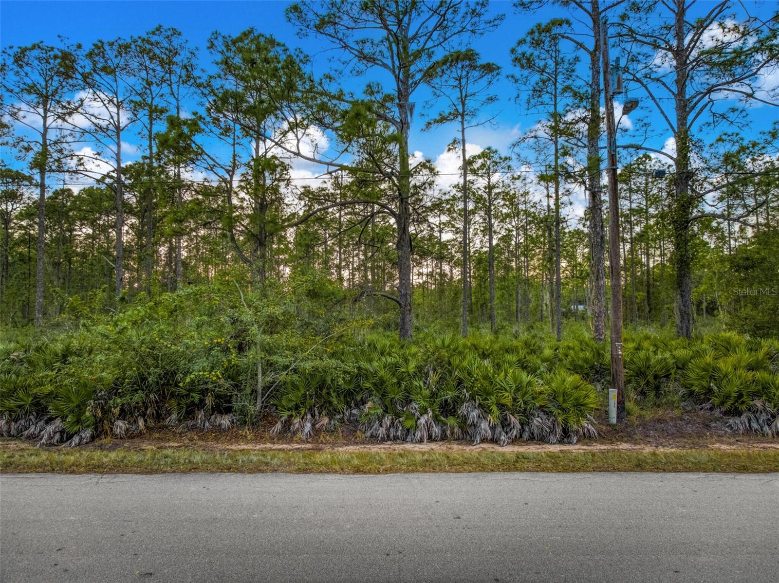 5817 WOLF LAKE RD
