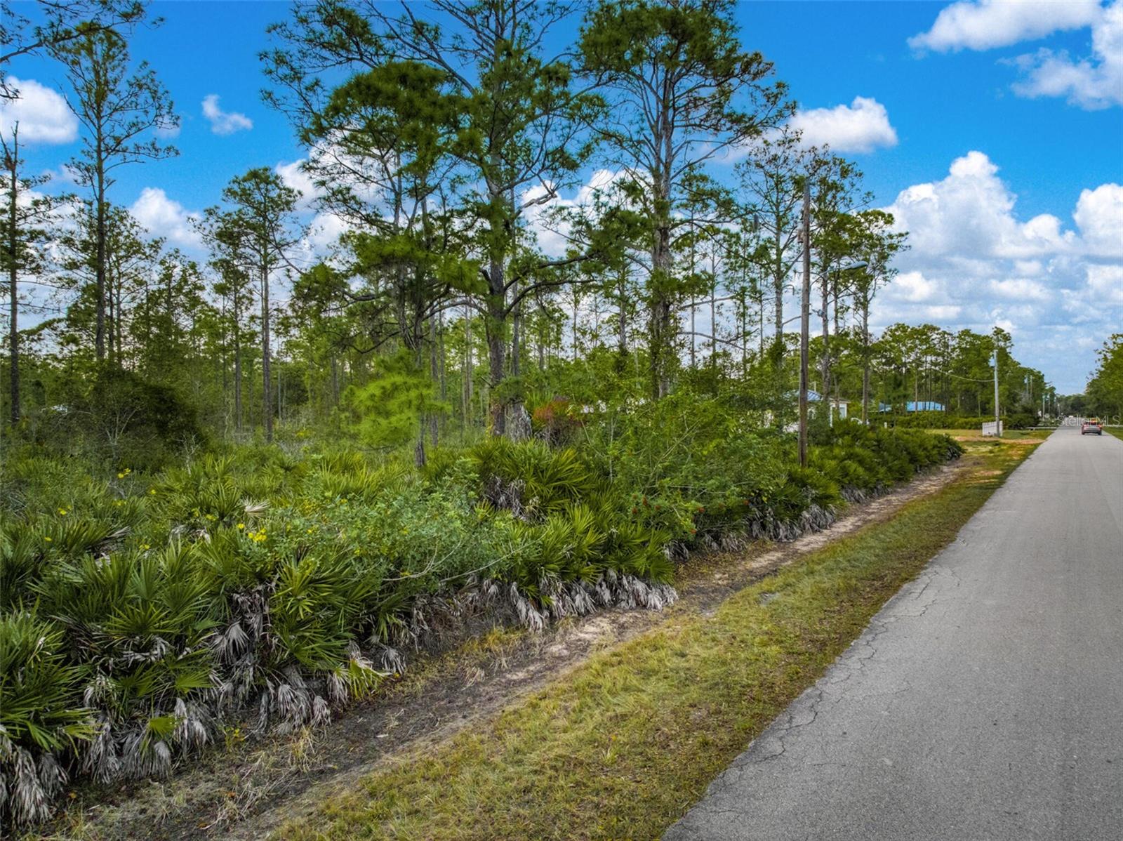 5817 WOLF LAKE RD