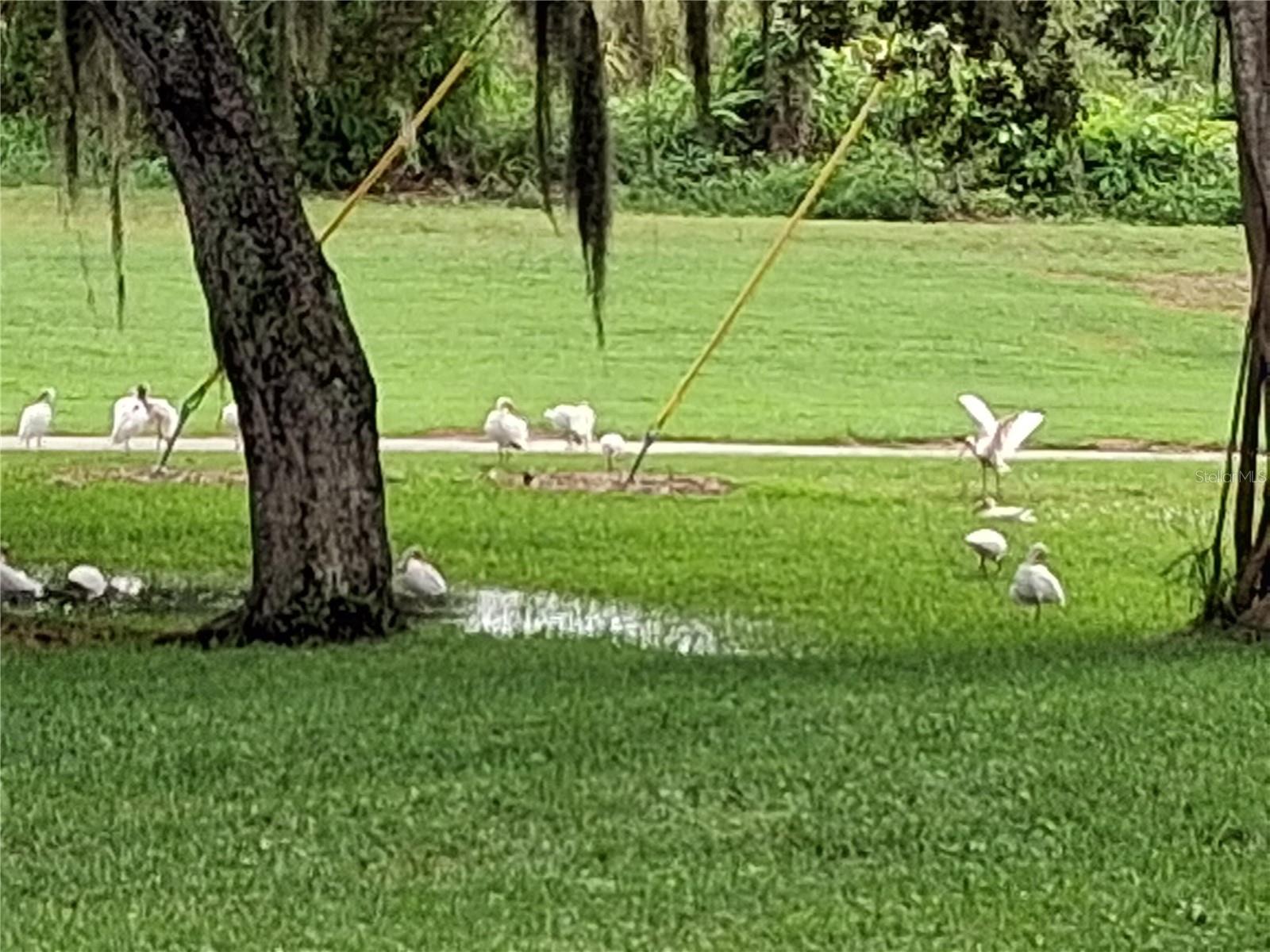 7 VISTA GARDENS TRL #105