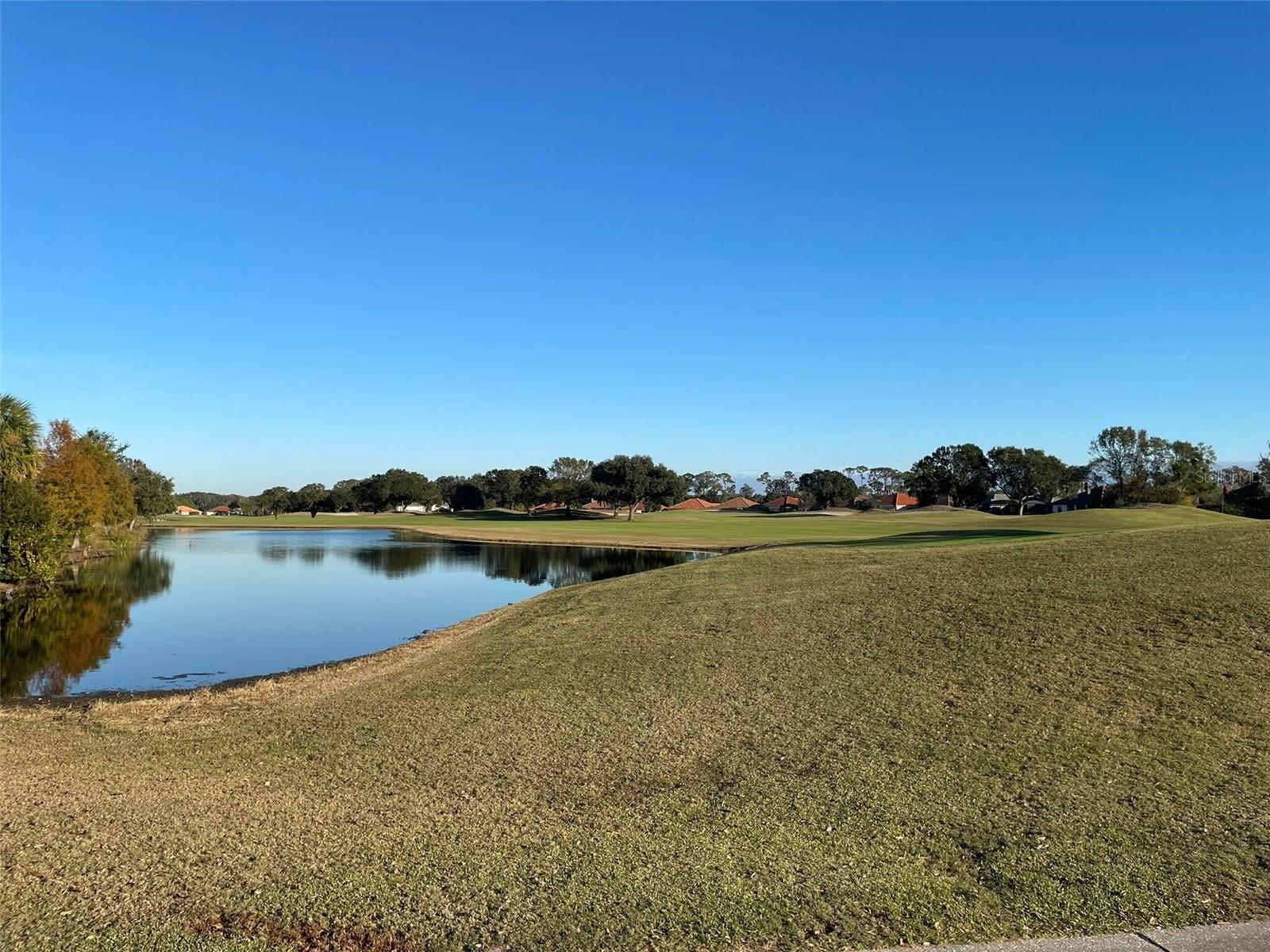 17708 SAWGRASS RUN