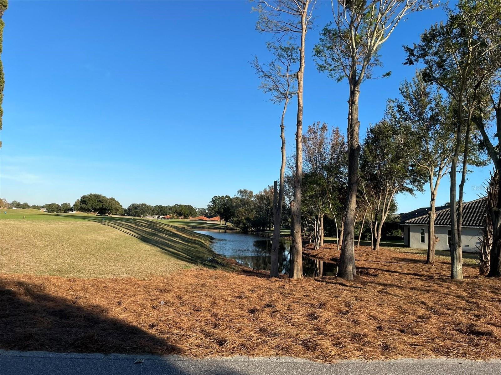 17708 SAWGRASS RUN