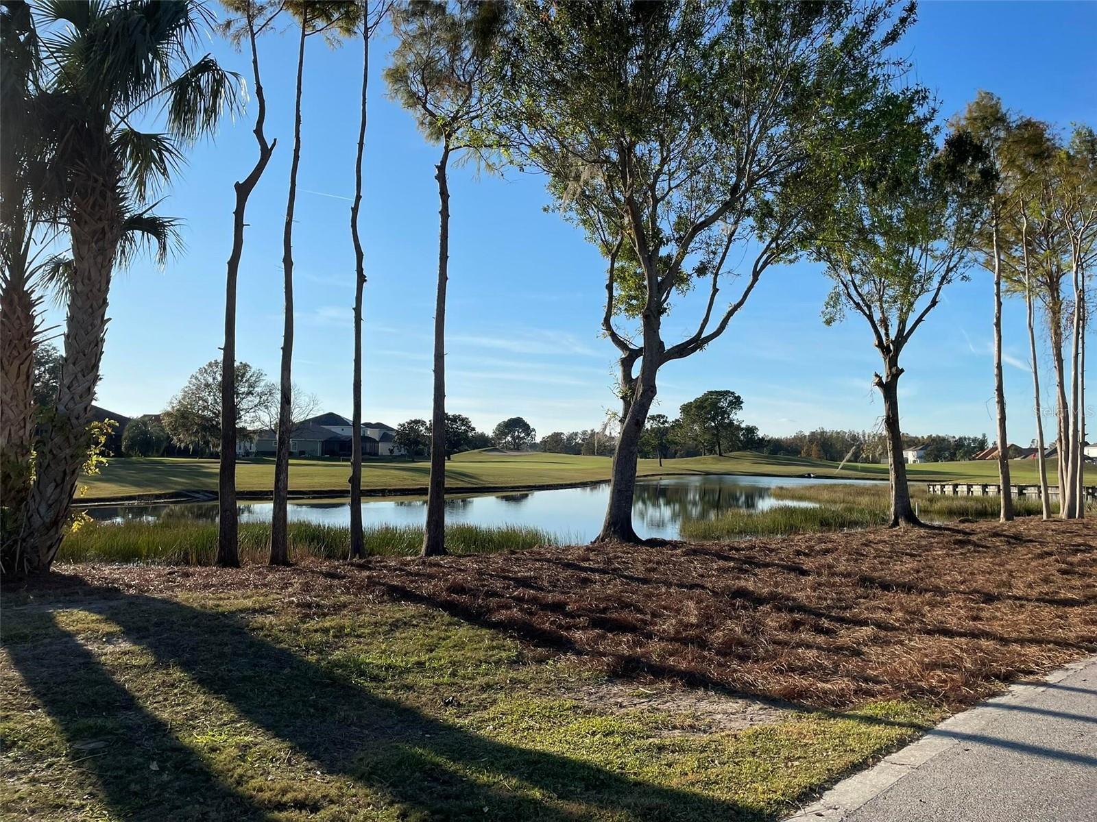 17708 SAWGRASS RUN