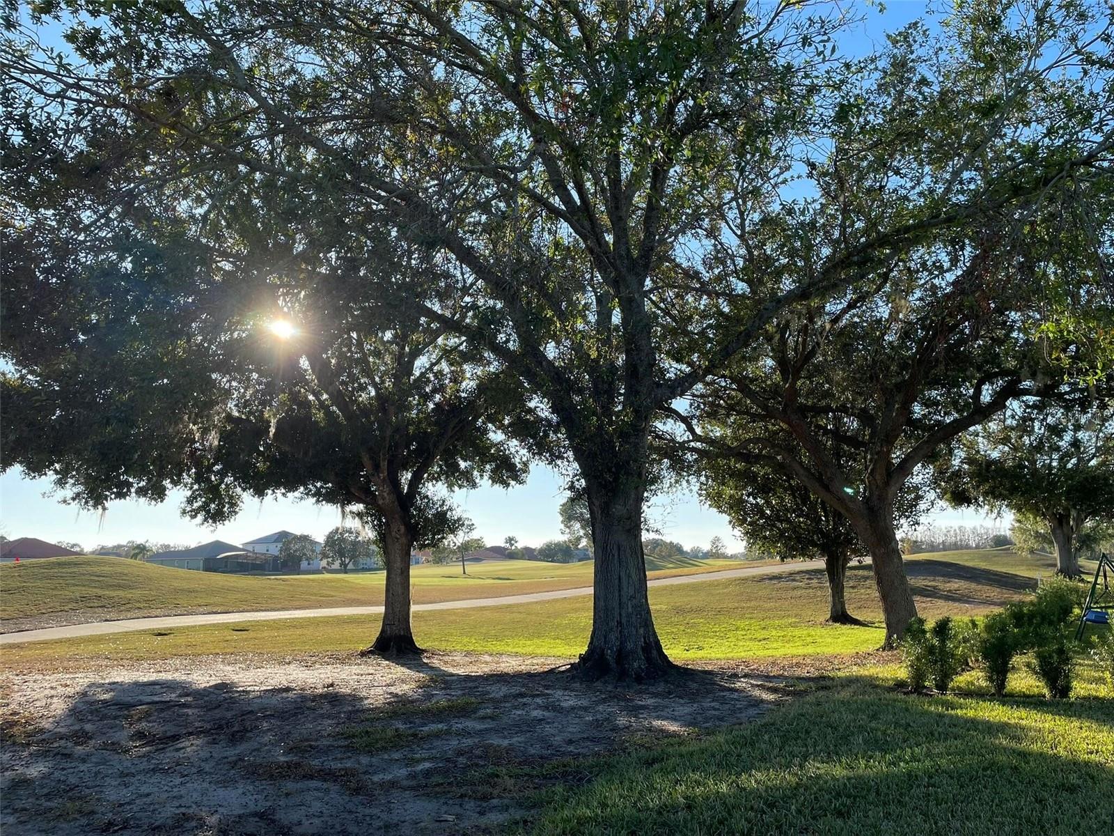 17708 SAWGRASS RUN