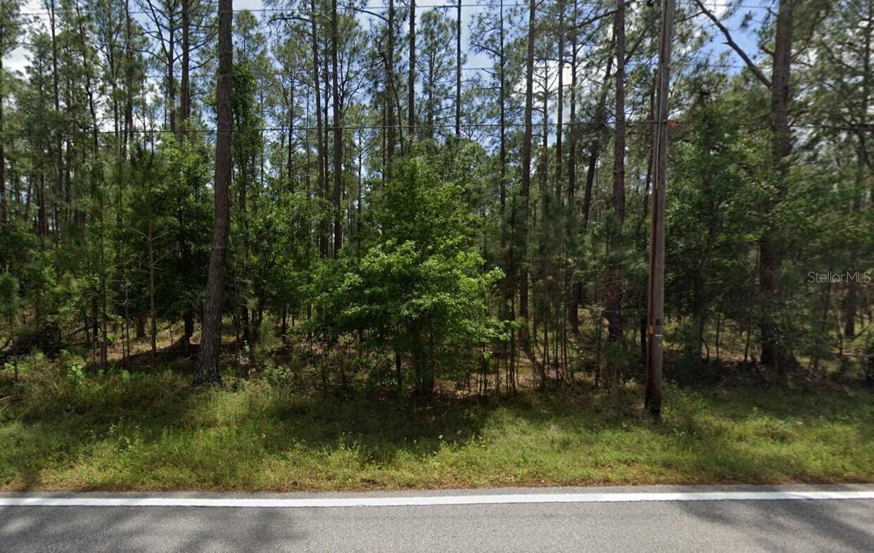 POYNER OAKS RD N
